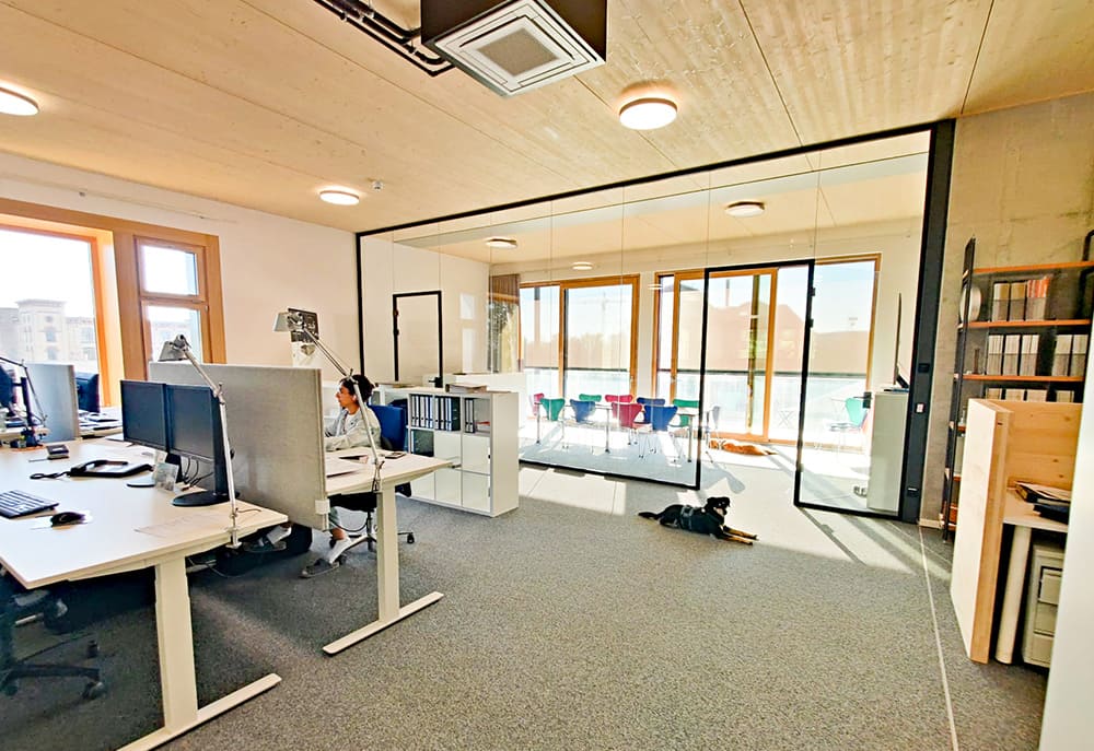 Moderner Büroraum mit mehreren Schreibtischen, Computerbildschirmen, einer Person am Arbeitsplatz, einem Hund auf dem Boden und einem Besprechungsraum mit Glaswänden im Hintergrund